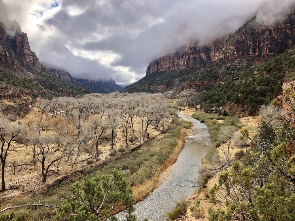 Zion Canyon z Kayenta Trail