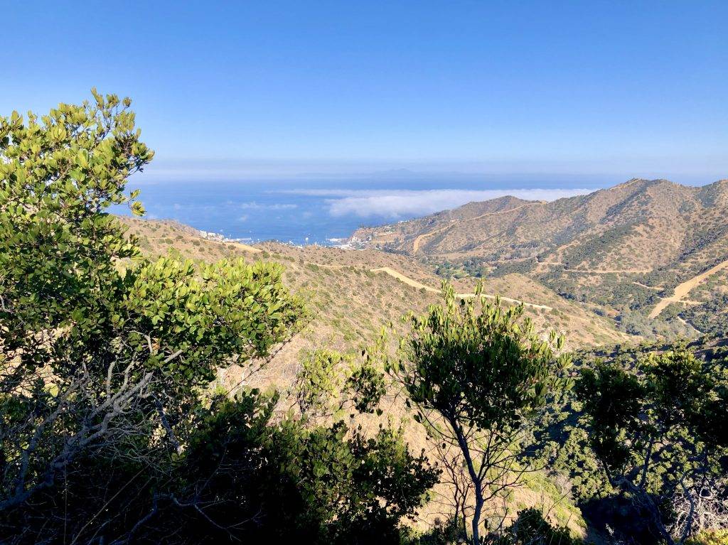 Hermit Gulch Lookout, Trans Catalina Trail